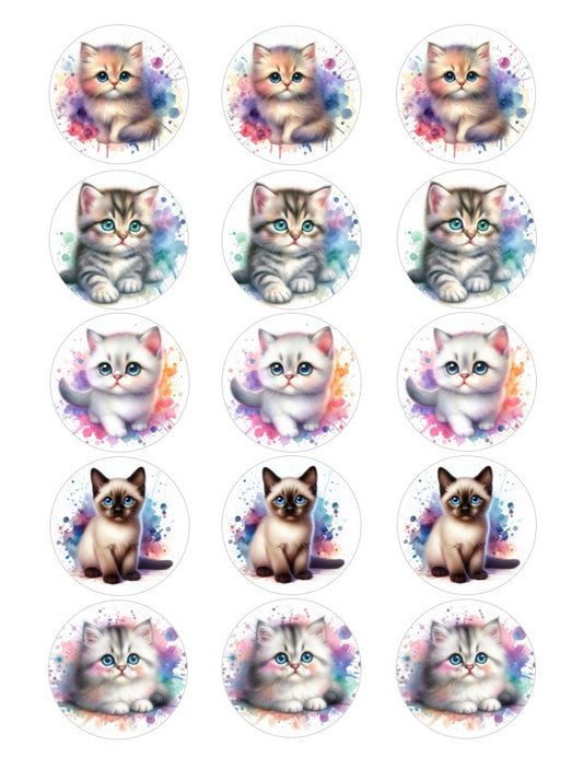 Edible Image Cats with Watercolour Paint Splash