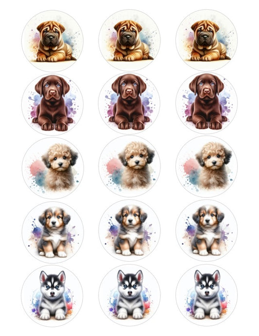 Edible Image Dogs with Watercolor Paint Splash