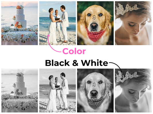 Collage of images with a focus on color and black & white options, featuring a wedding scene, a dog with a red bow, and a woman with a tiara.